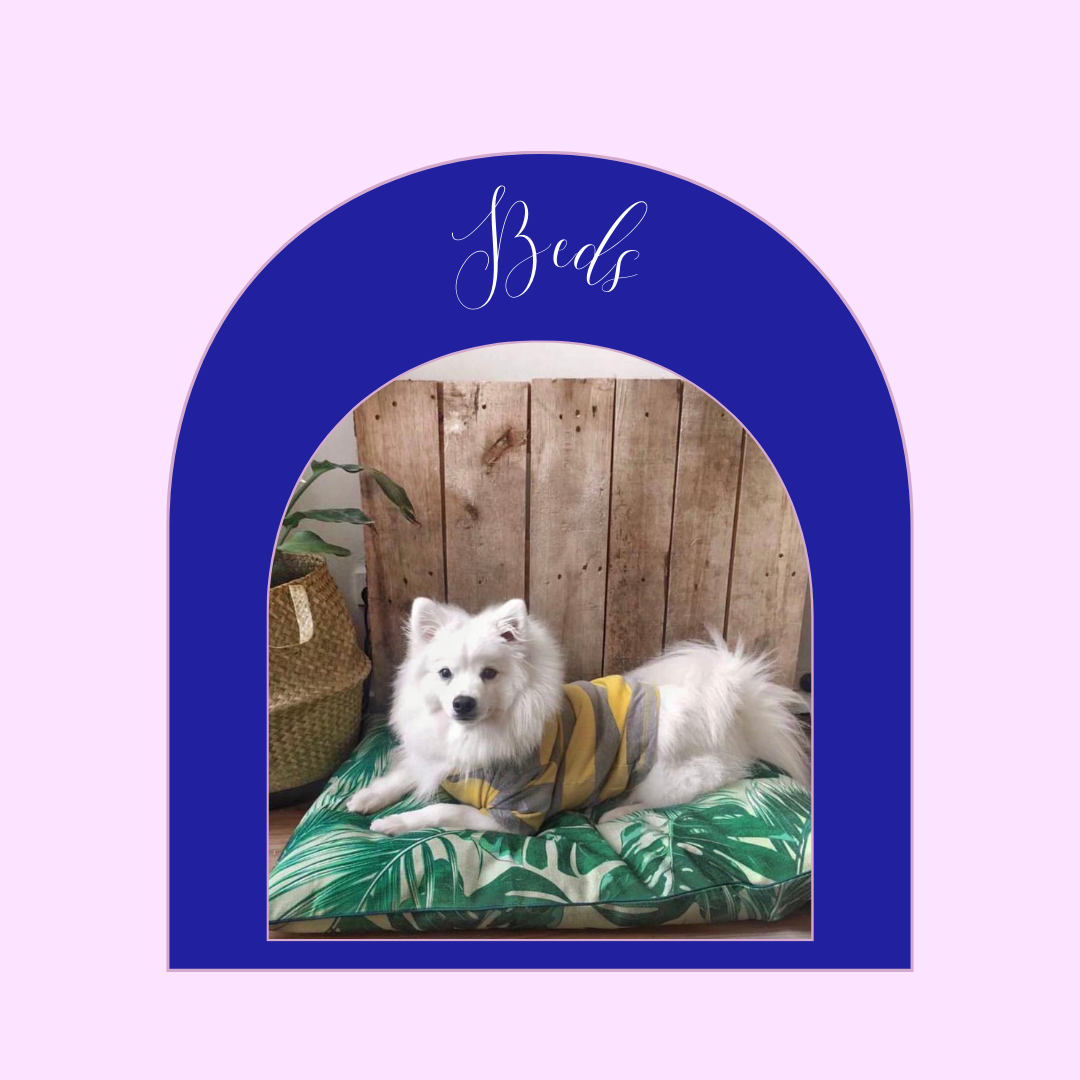 BEDS Animal Affair Boutique & Grooming