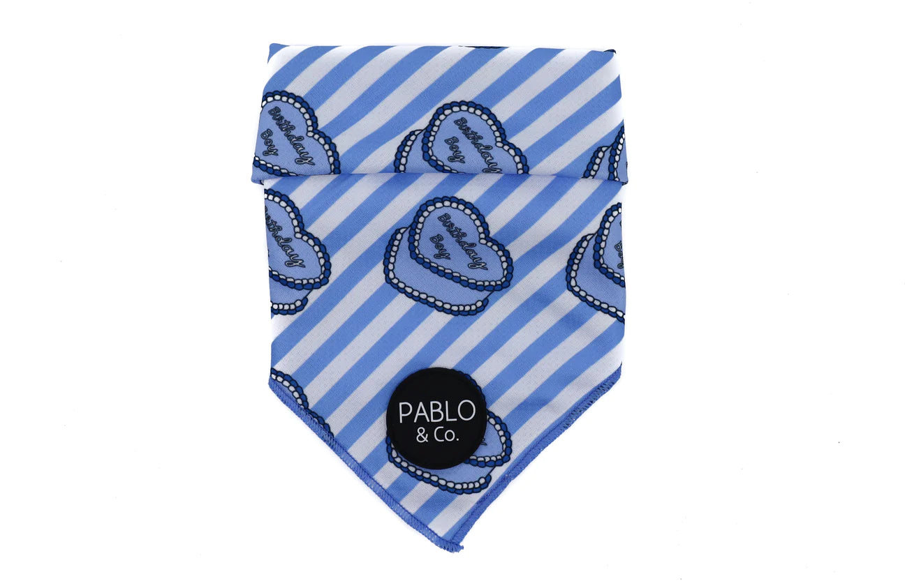 BIRTHDAY BOY - DOG BANDANA