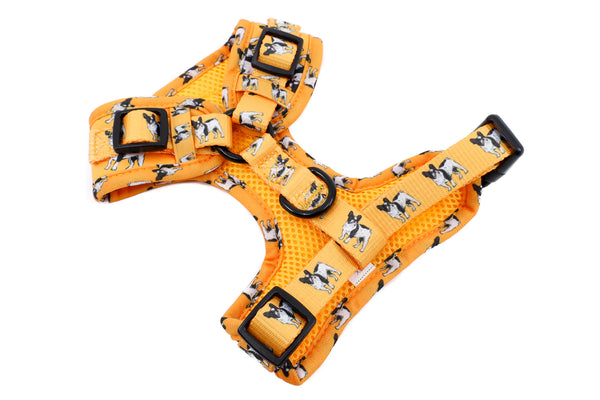 FRENCH BULLDOG: ADJUSTABLE HARNESS