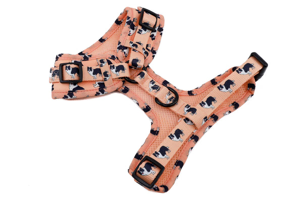 BORDER COLLIE: ADJUSTABLE HARNESS