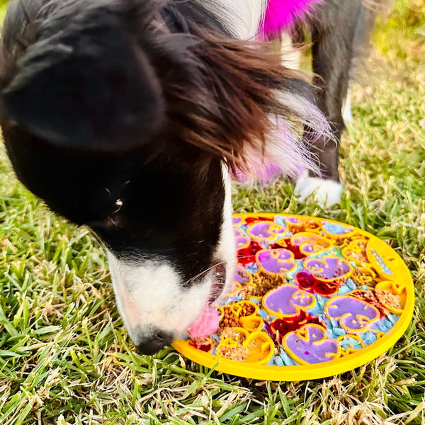 DUCKY EMAT ENRICHMENT LICK MAT
