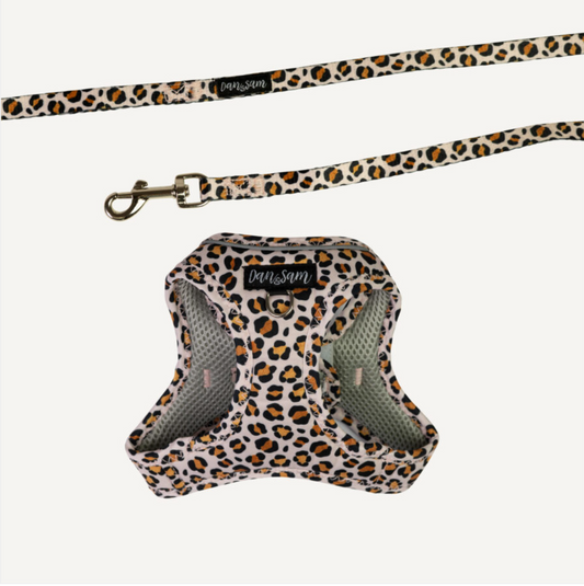 WILD ONE STEP-IN CAT HARNESS & LEAD