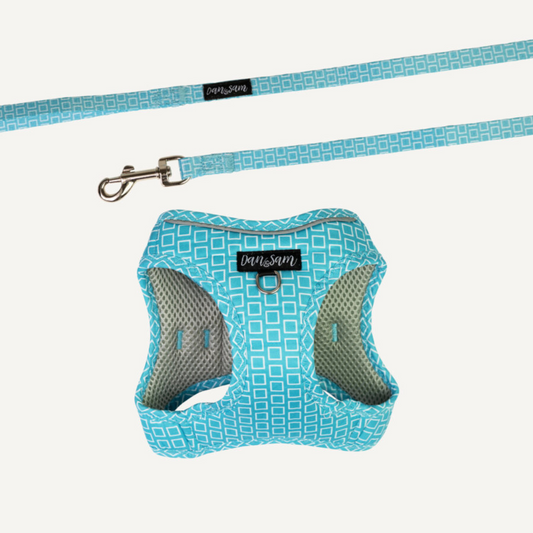 GROOVING STEP-IN CAT HARNESS & LEAD SET