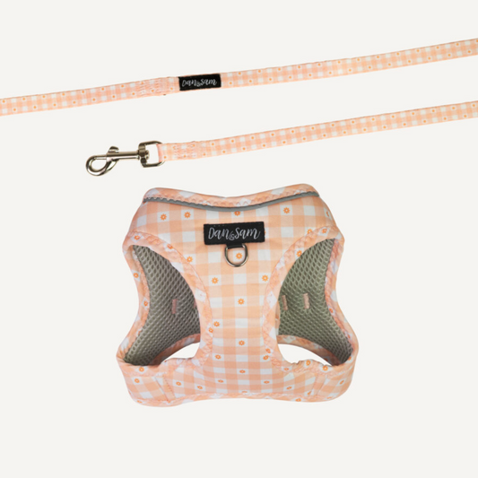 DAISY PICNIC STEP-IN CAT HARNESS & LEAD SET