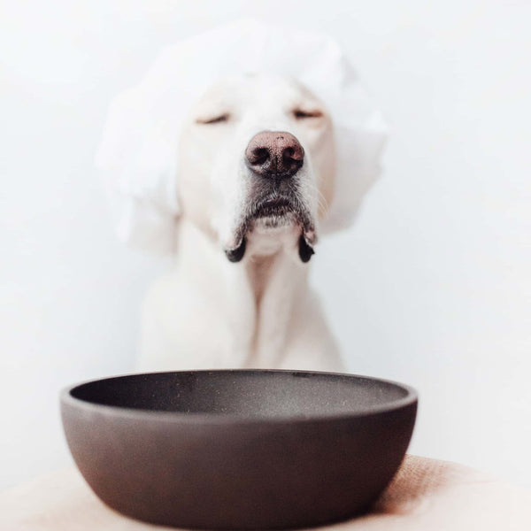 BAMBOO DOG BOWL