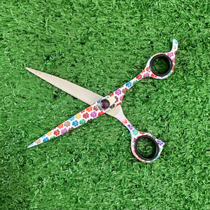 6.5" RAINBOW PAW PRINT STRAIGHTS