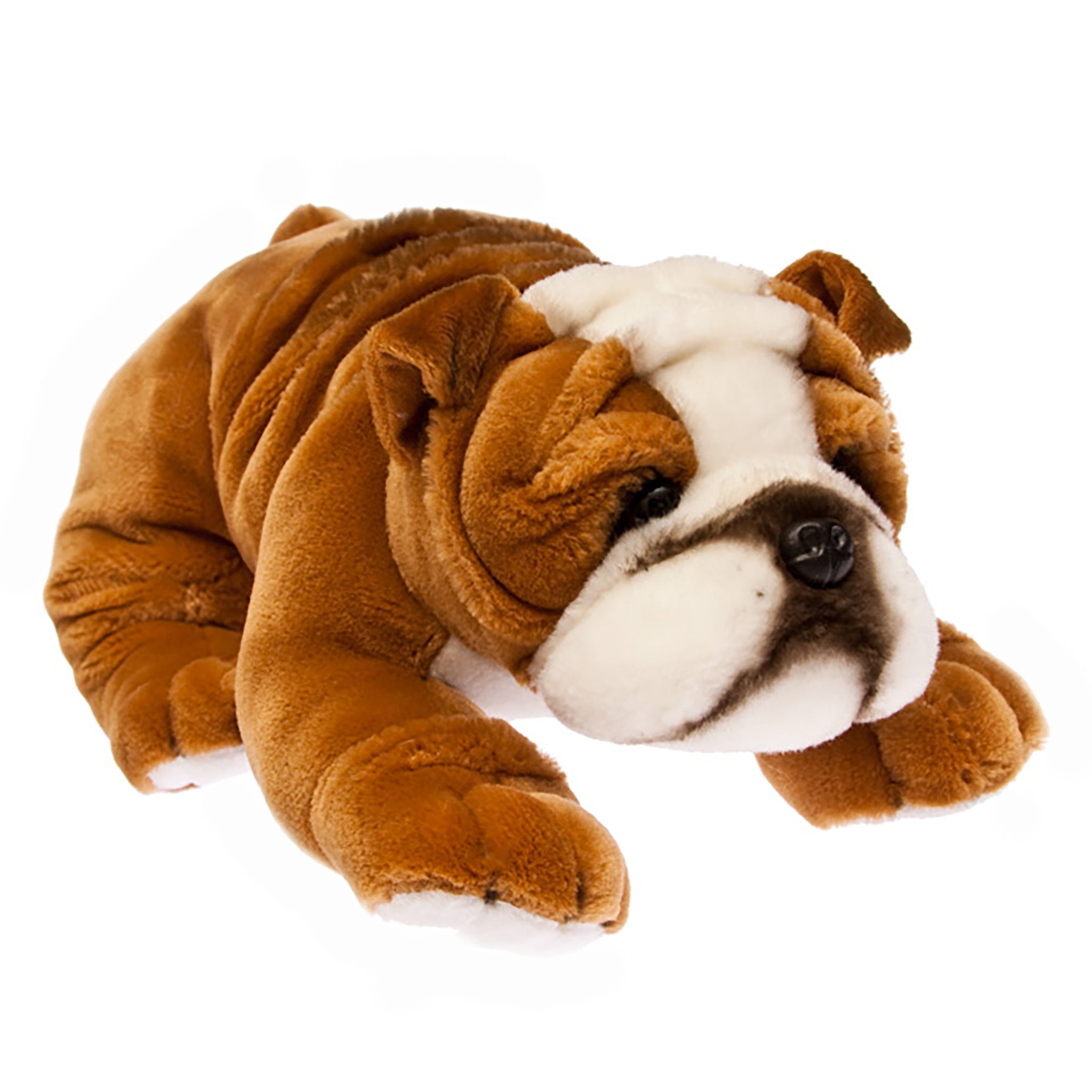 BOSTON - BRITISH BULLDOG