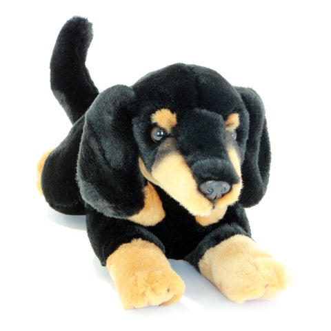 FRANKIE | BLACK & TAN DACHSHUND