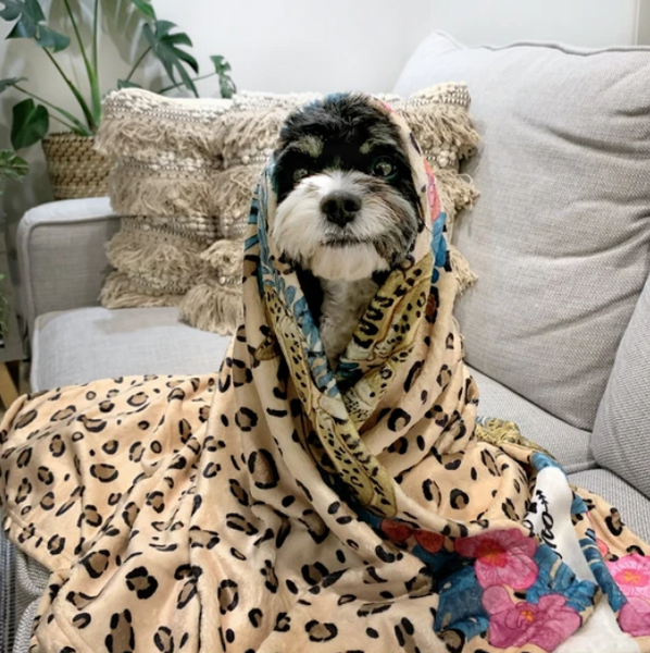 LEOPARD LUXE | DESIGNER PET BLANKET
