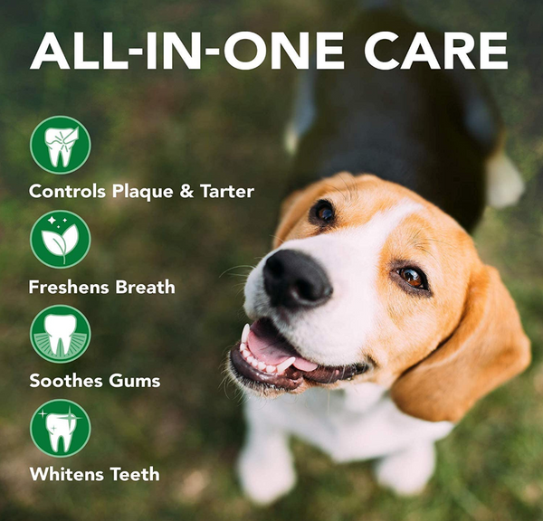 DENTAL CARE KIT