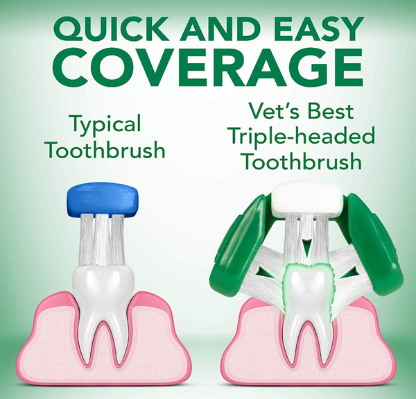 DENTAL CARE KIT