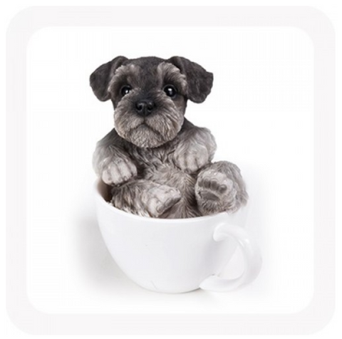 SCHNAUZER IN A TEACUP MONEY BOX
