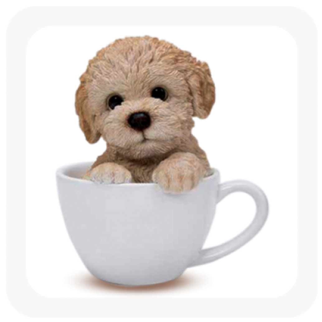 POODLE IN A TEACUP MONEY BOX