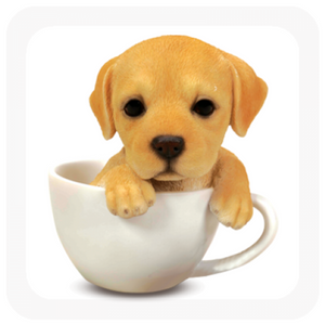 LABRADOR IN A TEACUP MONEY BOX