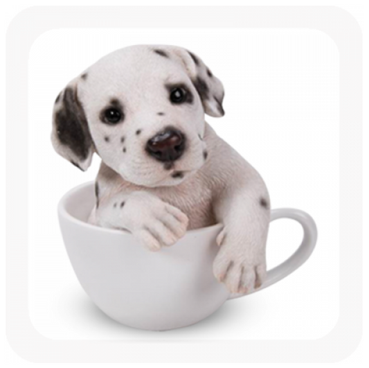 DALMATION IN A TEACUP MONEY BOX