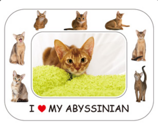 I LOVE MY CAT PHOTO FRAME MAGNET: ABYSSINIAN