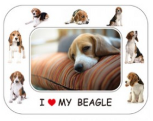 I LOVE MY DOG PHOTO FRAME MAGNET: BEAGLE