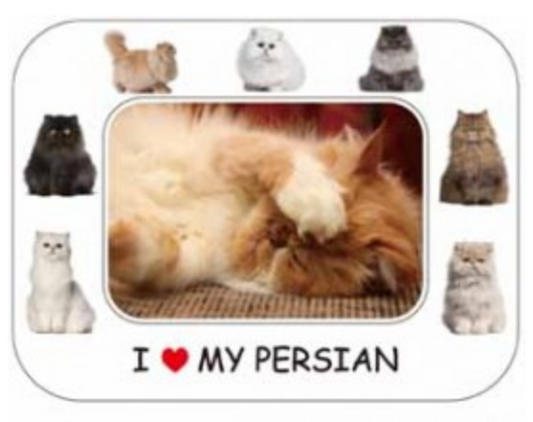 I LOVE MY CAT PHOTO FRAME MAGNET: PERSIAN