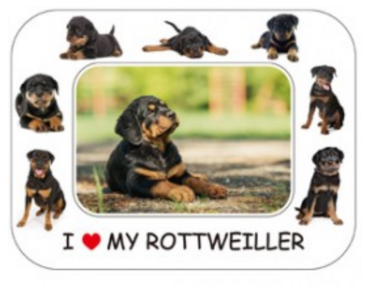 I LOVE MY DOG PHOTO FRAME MAGNET: ROTTWEILER