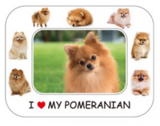 I LOVE MY DOG PHOTO FRAME MAGNET: POMERANIAN