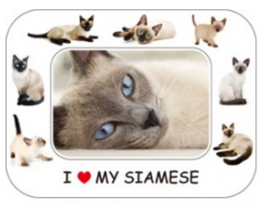 I LOVE MY CAT PHOTO FRAME MAGNET: SIAMESE