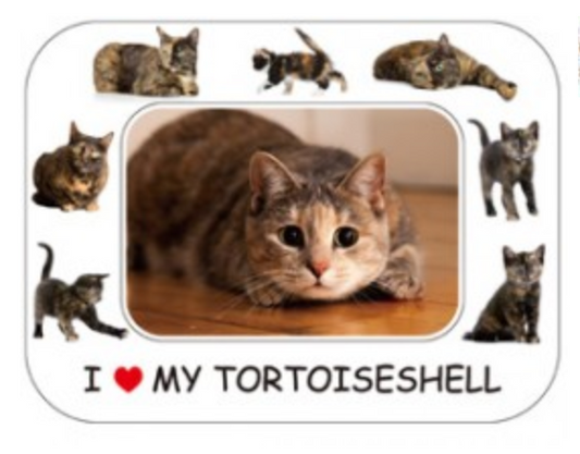 I LOVE MY CAT PHOTO FRAME MAGNET: TORTOISESHELL