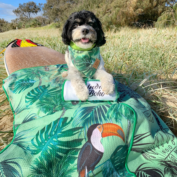 TROPICAL TOUCAN | PET TRAVEL TOWEL