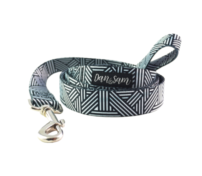 “Abstract” Dog Lead
