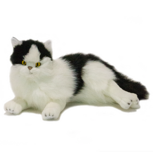 Woodrow - White & Black Piebald Cat
