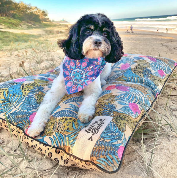 Leopard Luxe | Extra Large Pet Bed