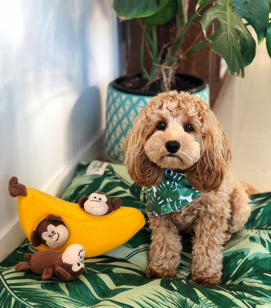 Tropical Leaves | Extra Large Pet Bed