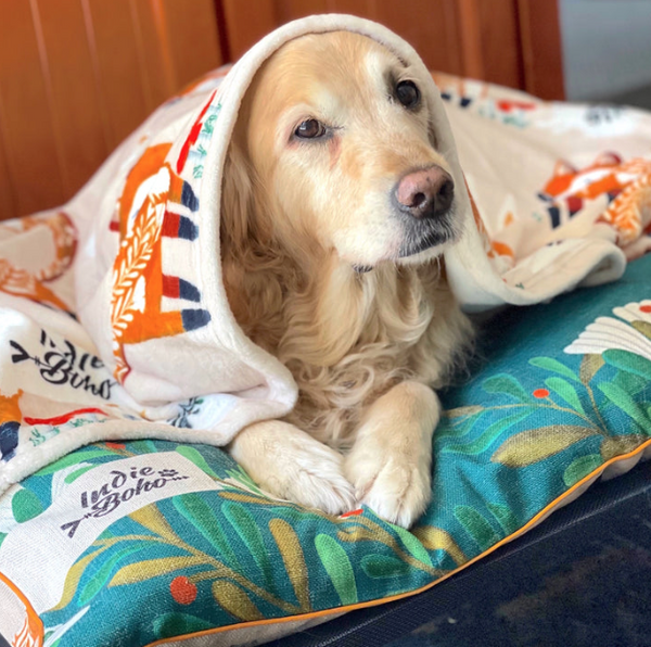 Foxy Tales | Large Pet Bed
