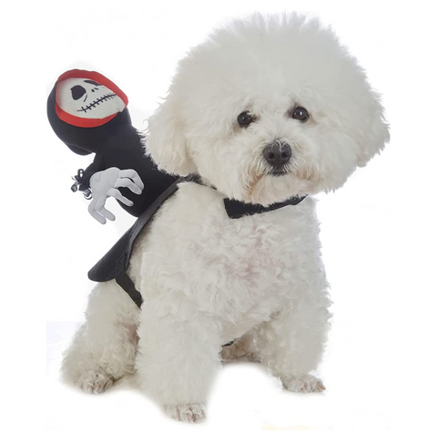 Ghost Saddle Costume