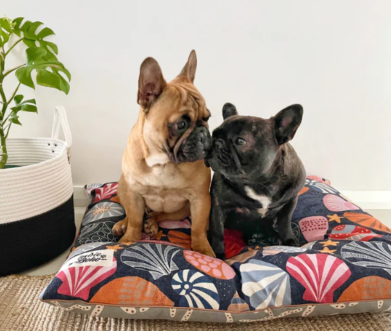 Daydream Shells | Extra Large Pet Bed