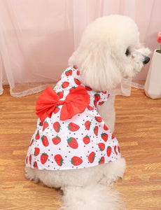 Strawberry Dress