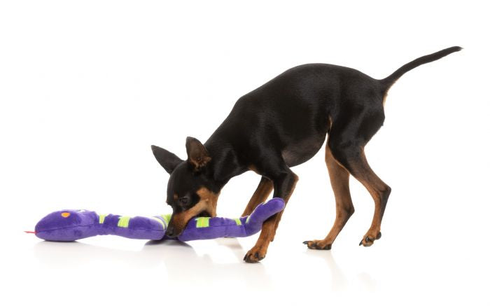 William Snakespeare Dog Toy
