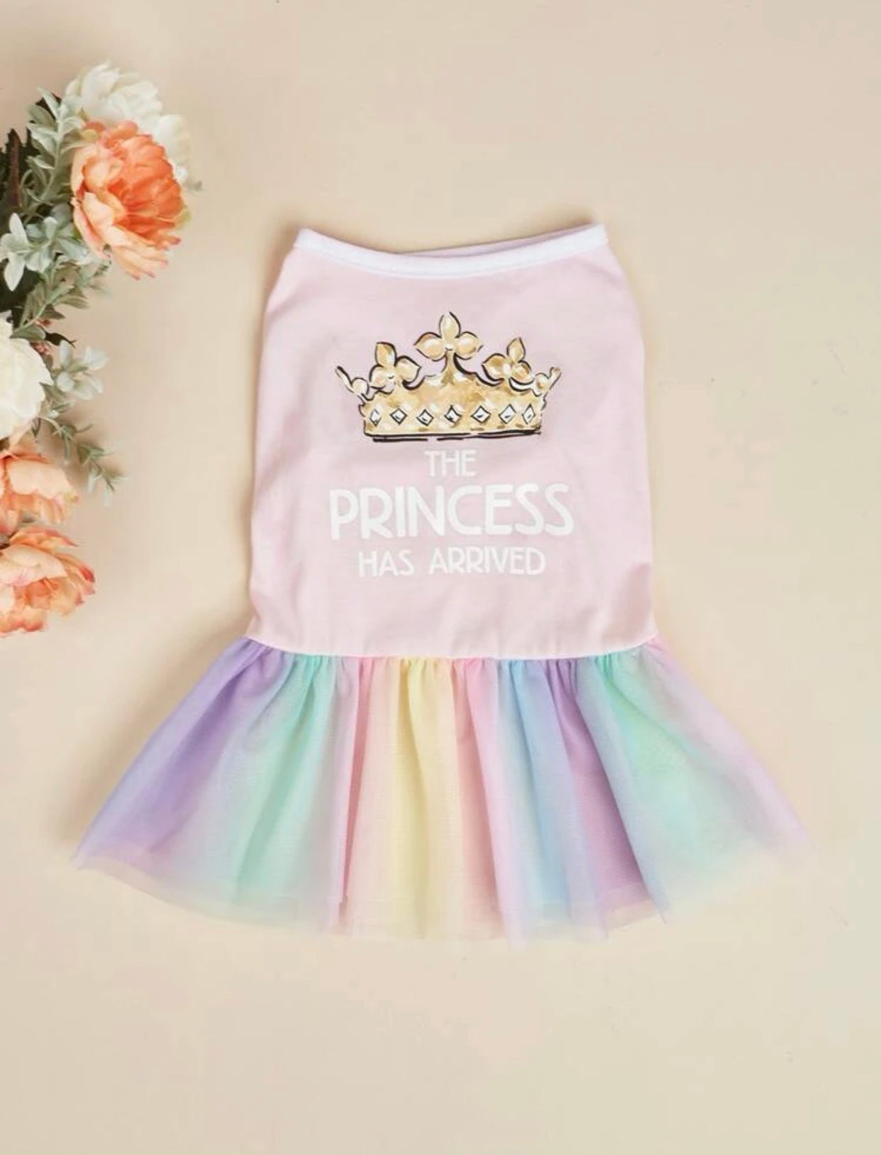 THE PRINCESS HAS ARRIVED TUTU