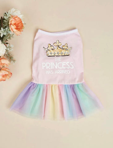 THE PRINCESS HAS ARRIVED TUTU