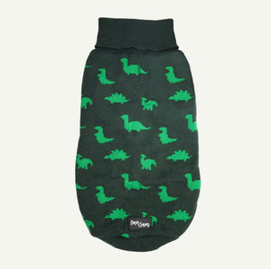 DINOSAUR LAND JUMPER