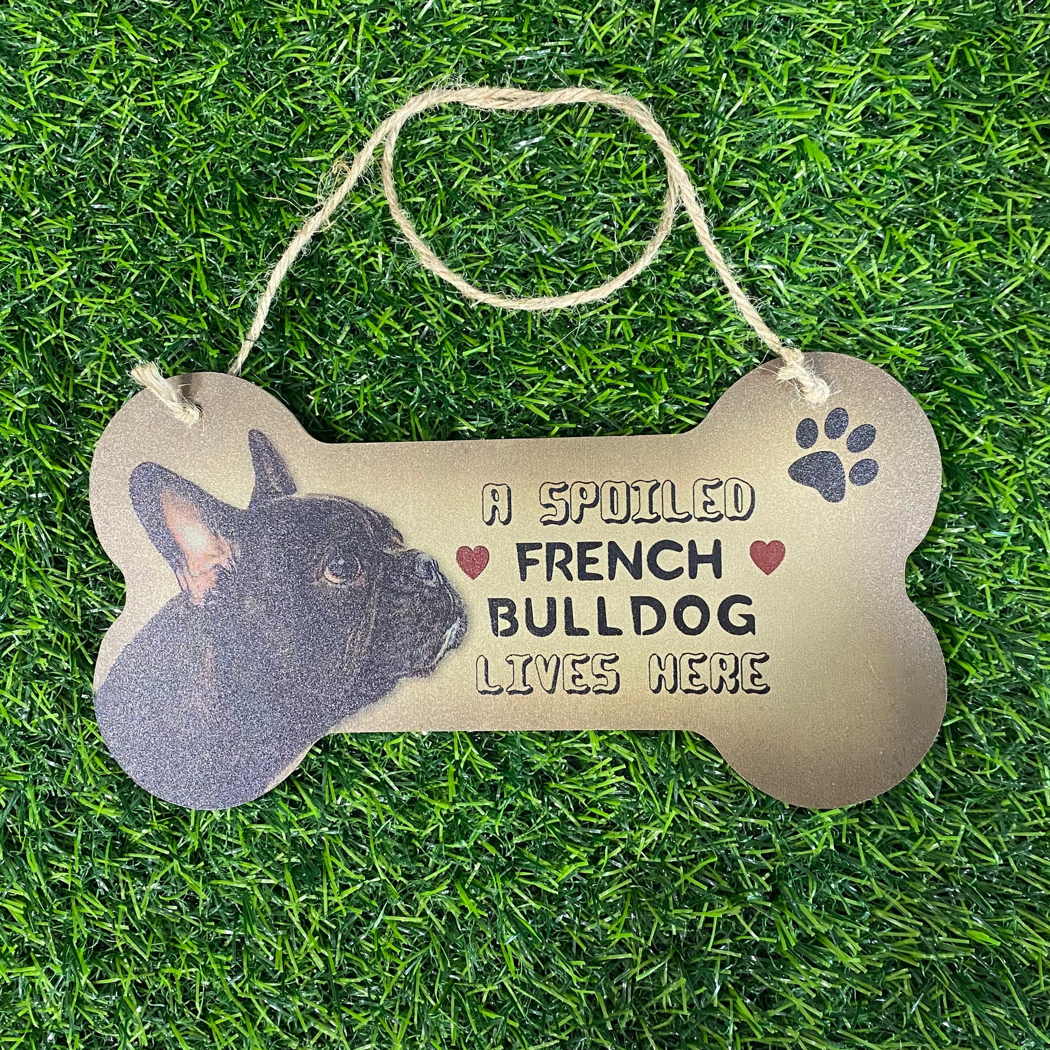 A Spoiled French Bulldog Lives Here