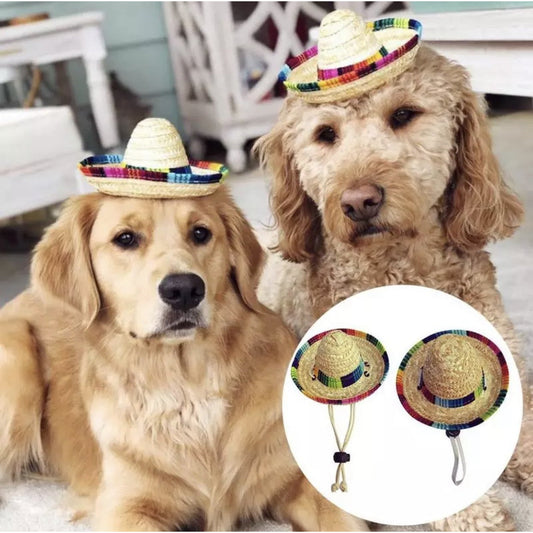 Dog/Cat Sombrero
