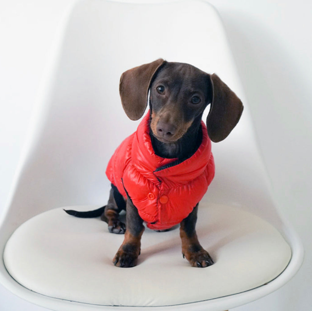 Red/Black Reversible Puffer Jacket